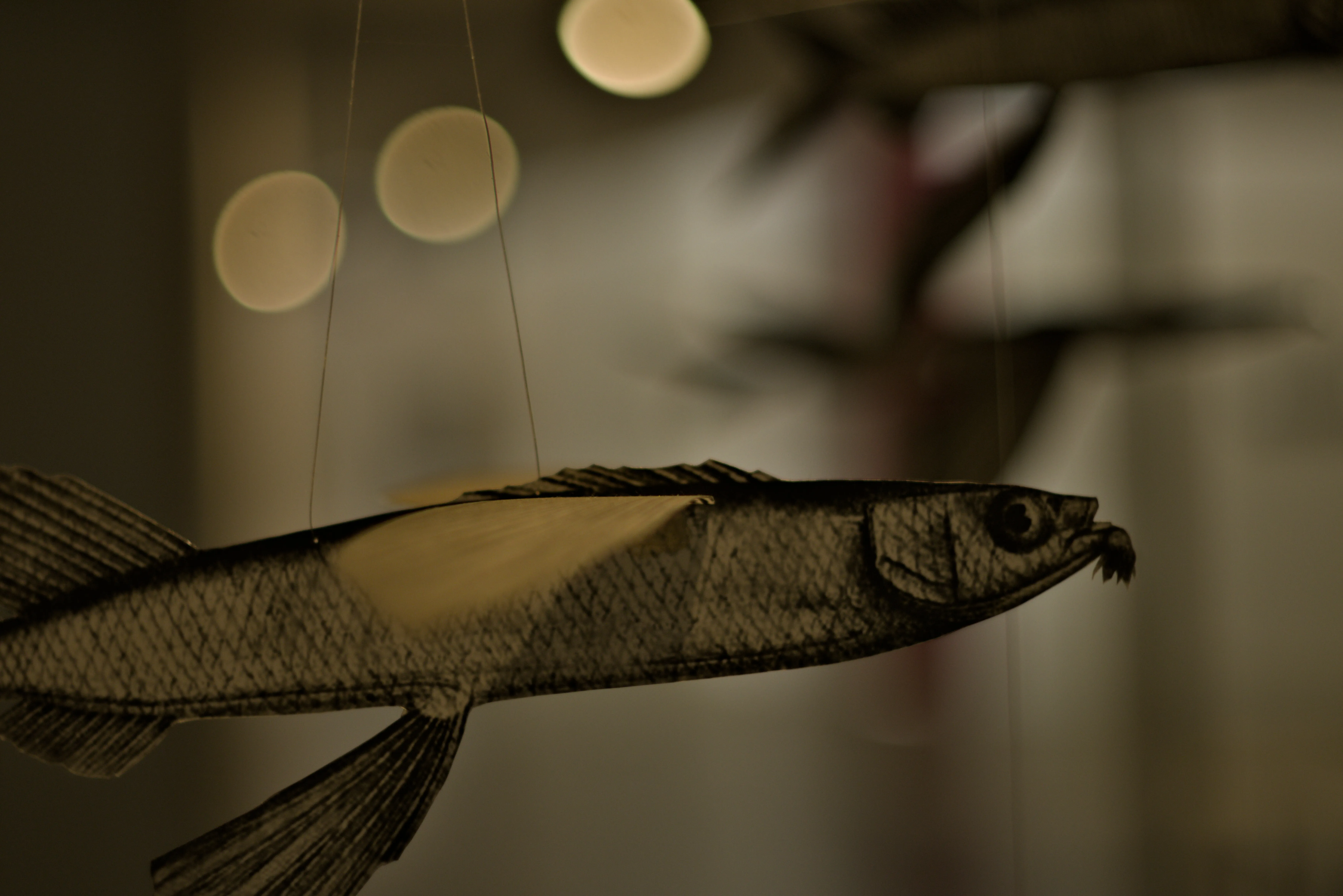 Zenith Helios-77M-4 1,850 (VOMZ) - _I4A5464.webp